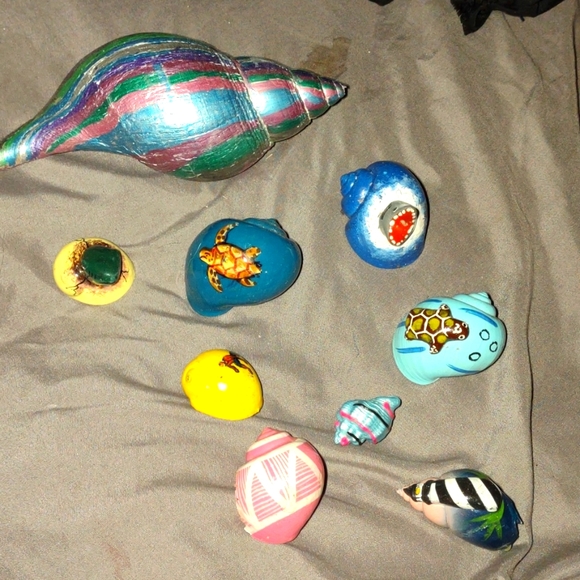 Hand painted hermit crab shells - Picture 6 of 8